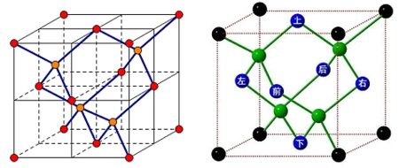金刚石晶胞内部碳原子在什么位置