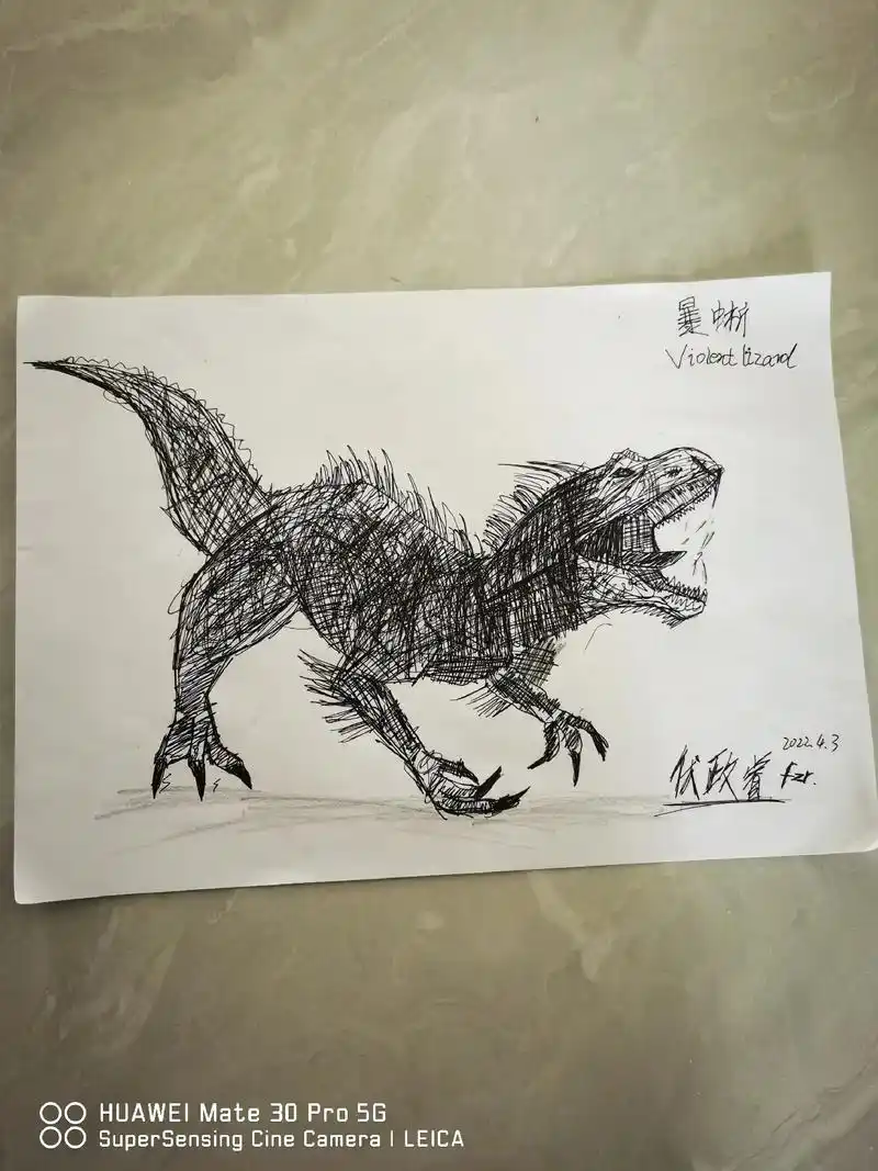 伏政睿作品#12岁#作品欣赏#恐龙家族 - 抖音