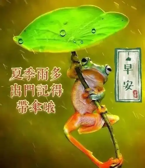 8张创意唯好看的早安早上好图片带祝福语 夏日清晨朋友圈早安问候语