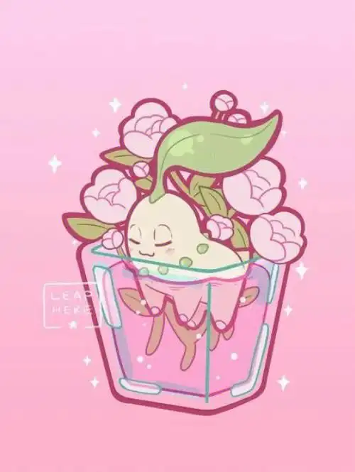 宝可梦菊草叶壁纸