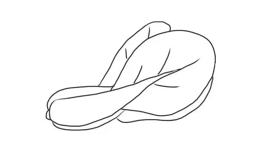 油菜幼儿亲子简笔画 宝宝轻松学画画