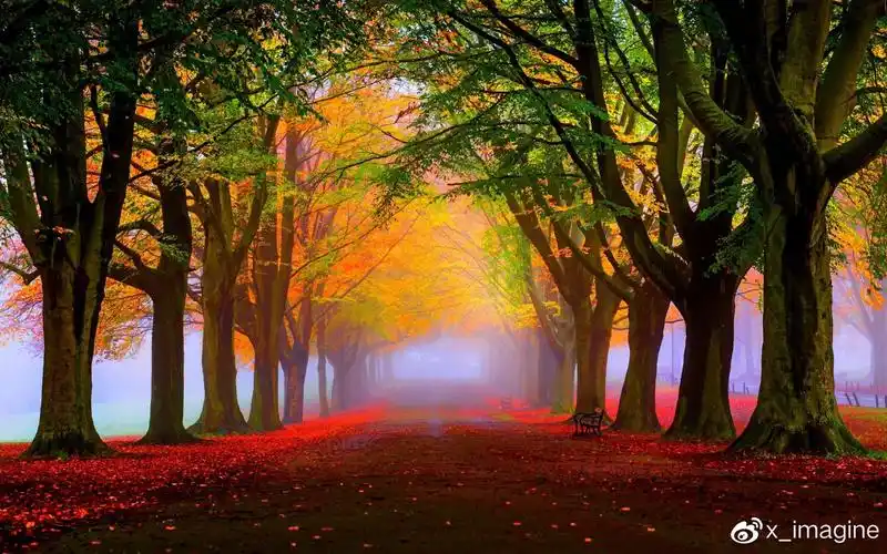 荒岛宝藏壁纸合集2k苹果手机壁纸4k秋天风景摄影图片